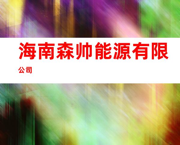 海南森帅能源有限公司